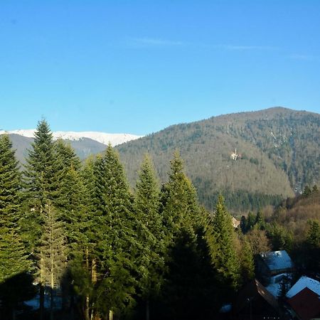 Grandpa'S Hidden Crib, 6 Bedroom, Pet Friendly Sinaia Esterno foto