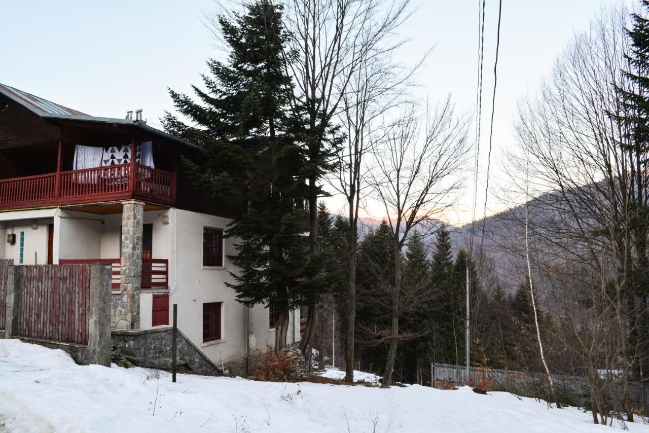 Grandpa'S Hidden Crib, 6 Bedroom, Pet Friendly Sinaia Esterno foto