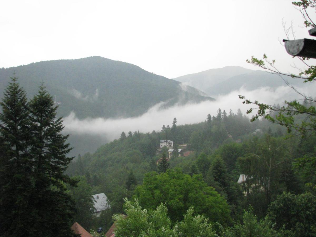 Grandpa'S Hidden Crib, 6 Bedroom, Pet Friendly Sinaia Esterno foto