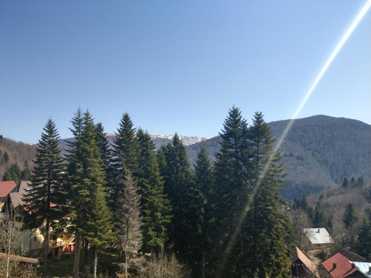 Grandpa'S Hidden Crib, 6 Bedroom, Pet Friendly Sinaia Esterno foto