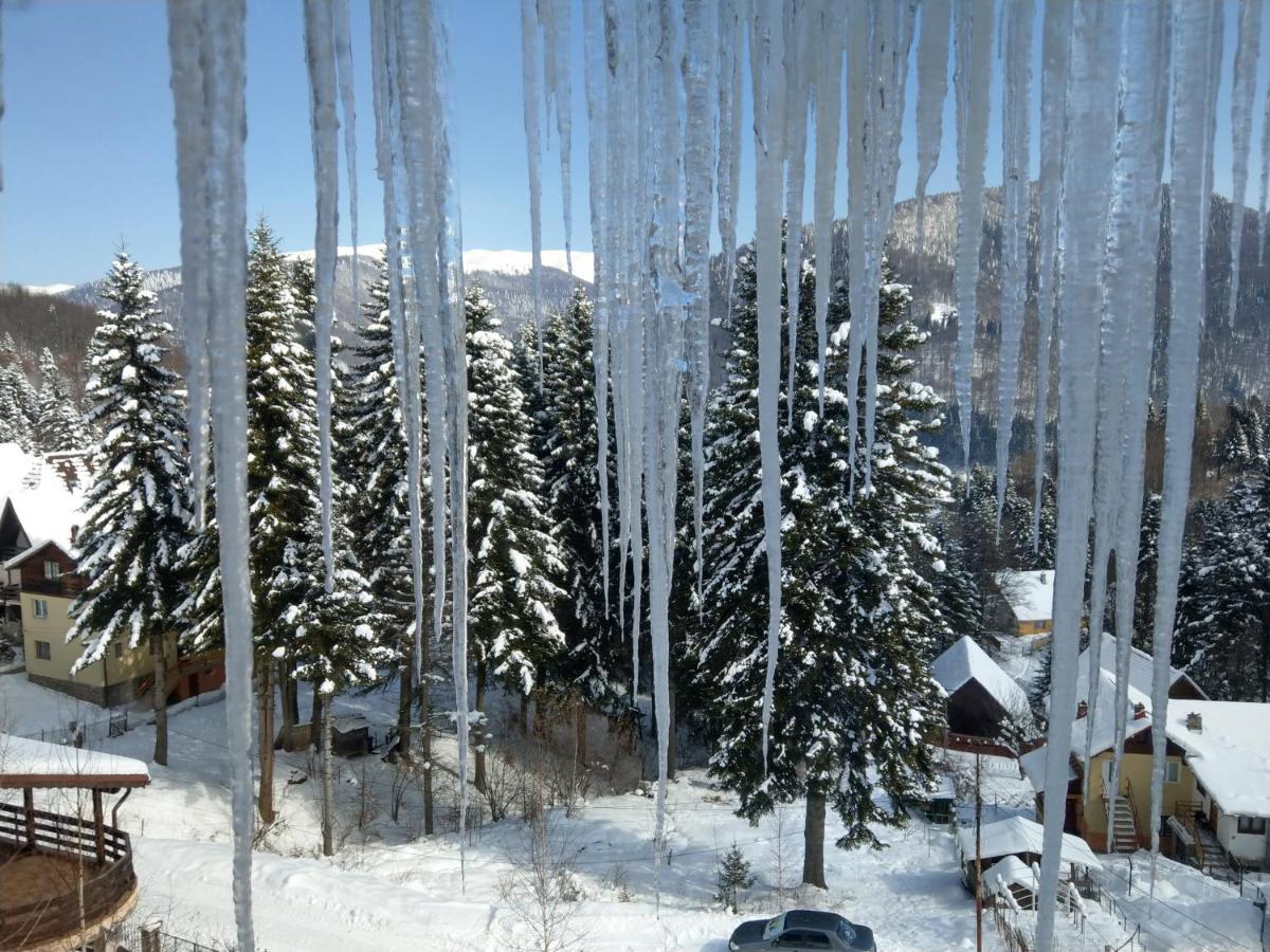 Grandpa'S Hidden Crib, 6 Bedroom, Pet Friendly Sinaia Esterno foto