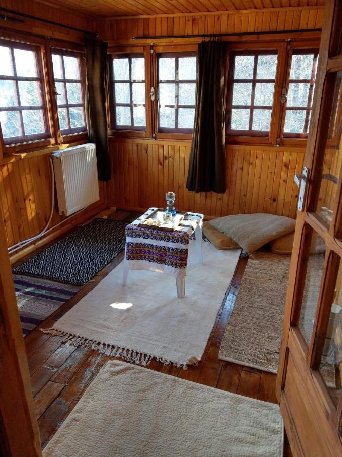 Grandpa'S Hidden Crib, 6 Bedroom, Pet Friendly Sinaia Esterno foto