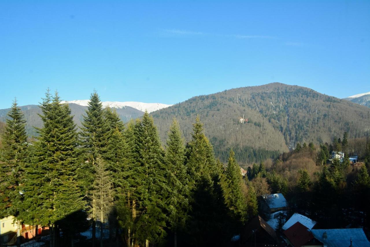 Grandpa'S Hidden Crib, 6 Bedroom, Pet Friendly Sinaia Esterno foto