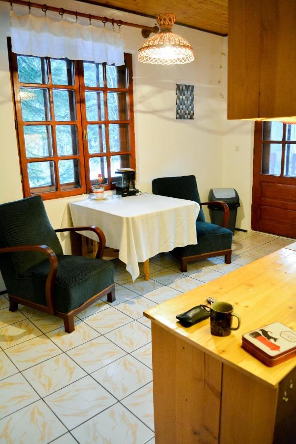 Grandpa'S Hidden Crib, 6 Bedroom, Pet Friendly Sinaia Esterno foto