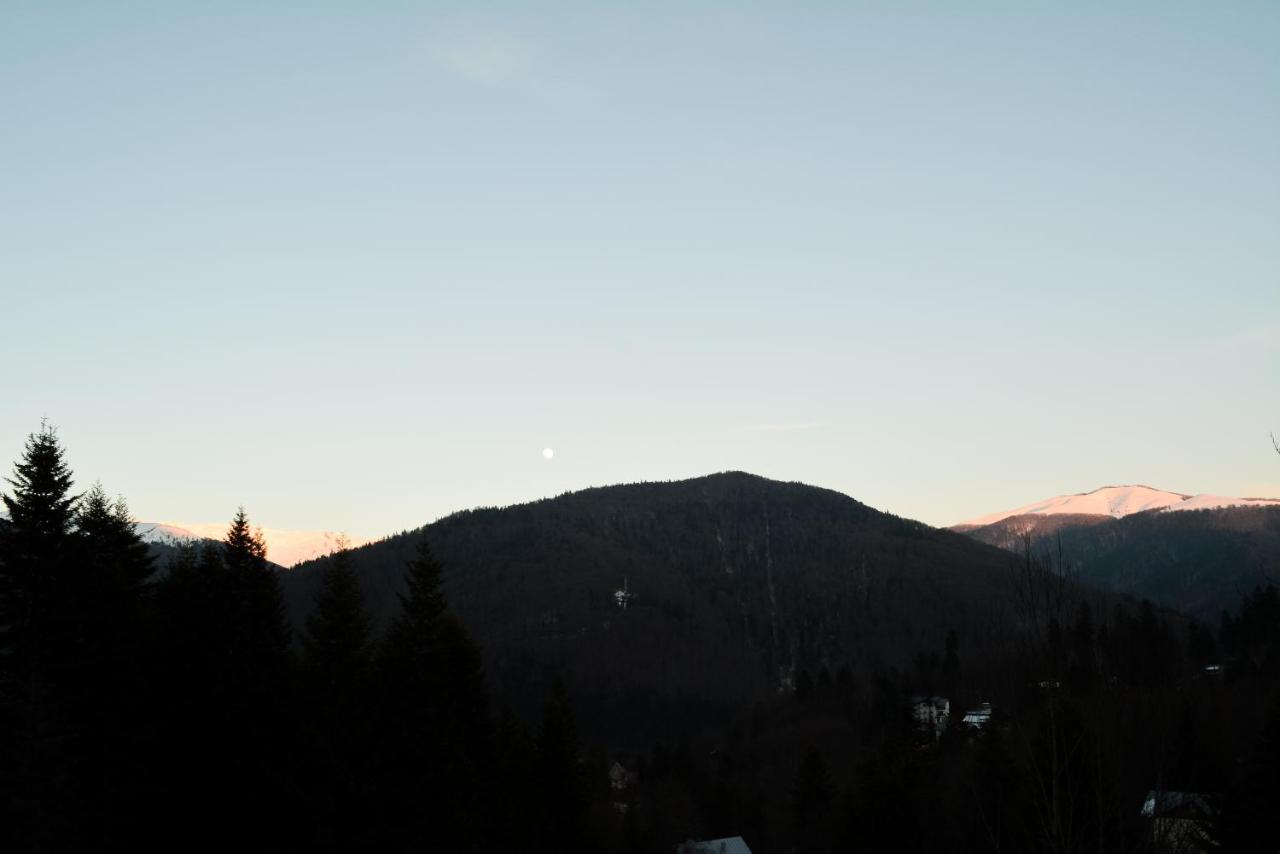 Grandpa'S Hidden Crib, 6 Bedroom, Pet Friendly Sinaia Esterno foto