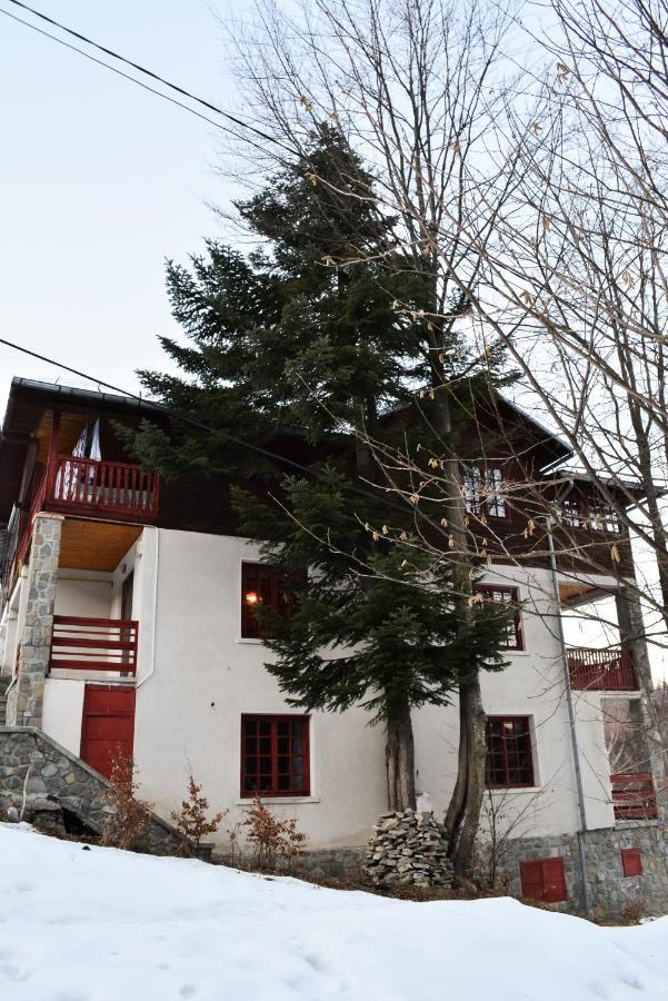 Grandpa'S Hidden Crib, 6 Bedroom, Pet Friendly Sinaia Esterno foto