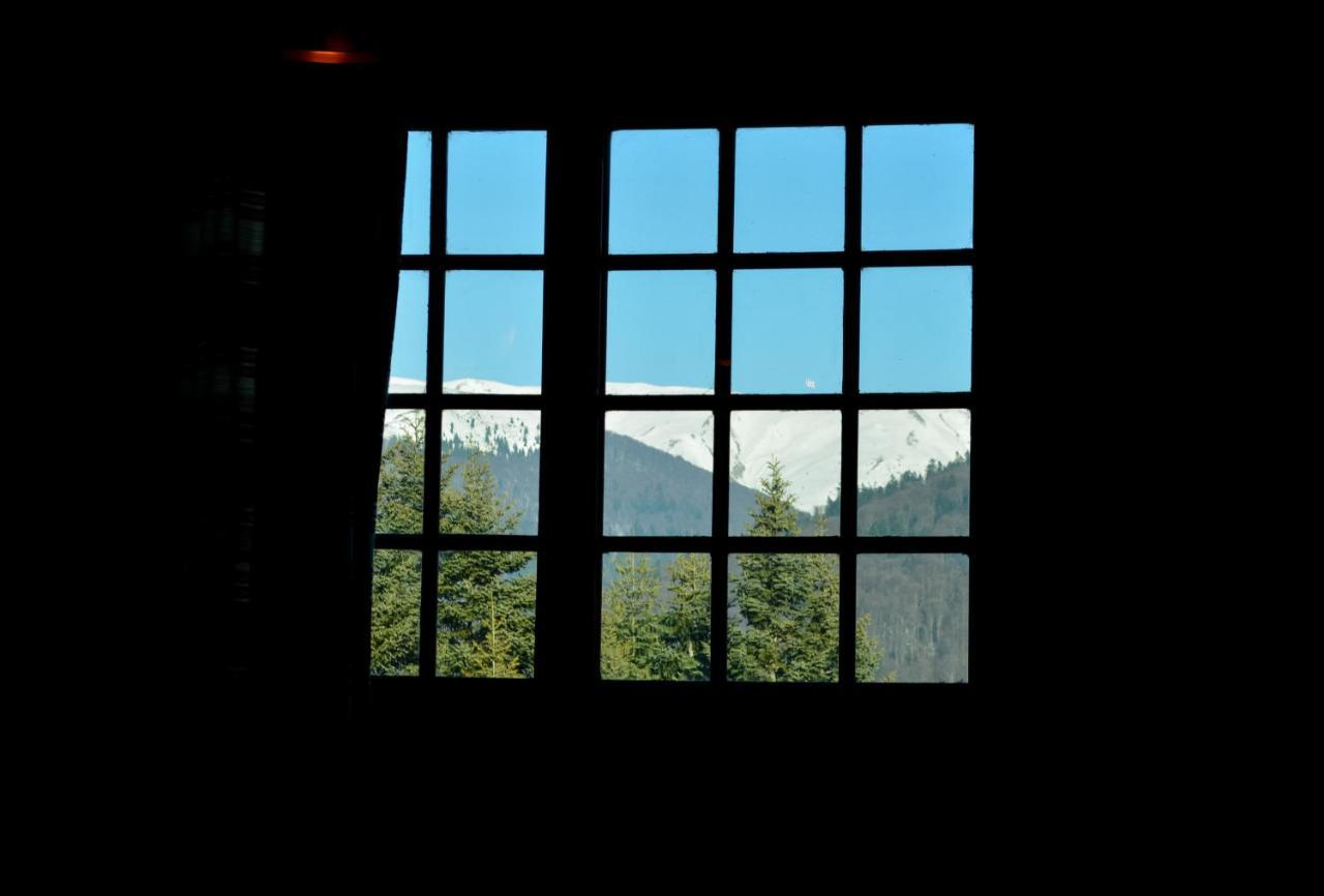 Grandpa'S Hidden Crib, 6 Bedroom, Pet Friendly Sinaia Esterno foto
